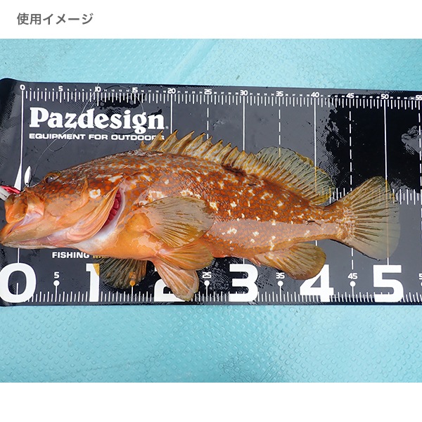 プロテクトメジャー65Ⅱ