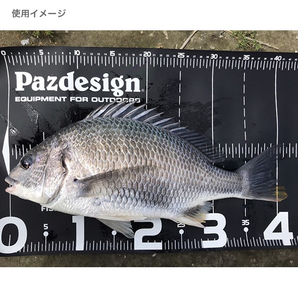 プロテクトメジャー65Ⅱ