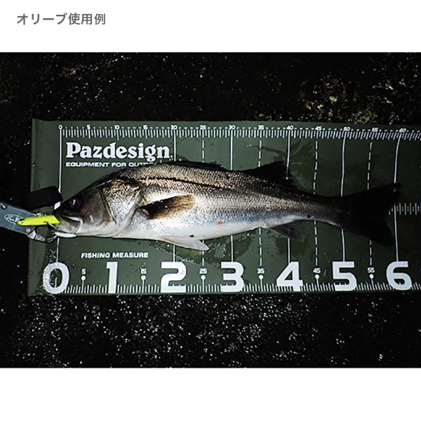 プロテクトメジャー65Ⅱ