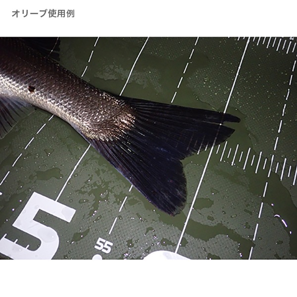 プロテクトメジャー65Ⅱ