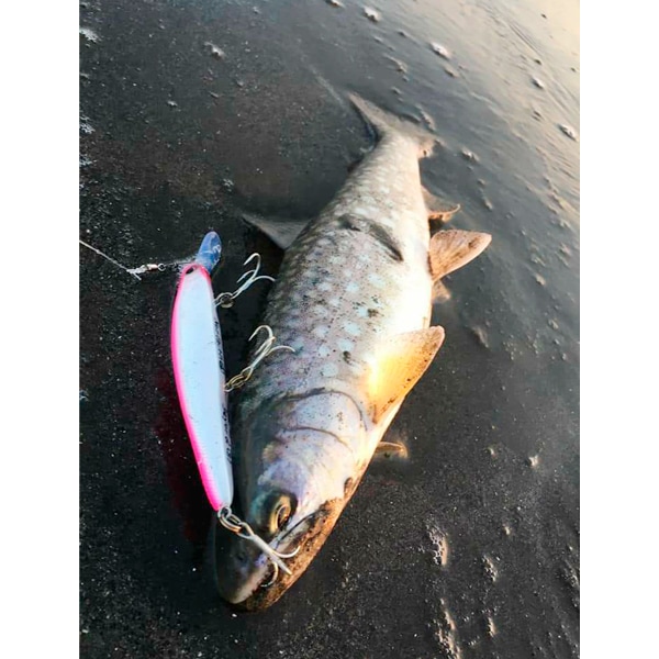 バックウォッシュビヨンド110S ノーザンカラー