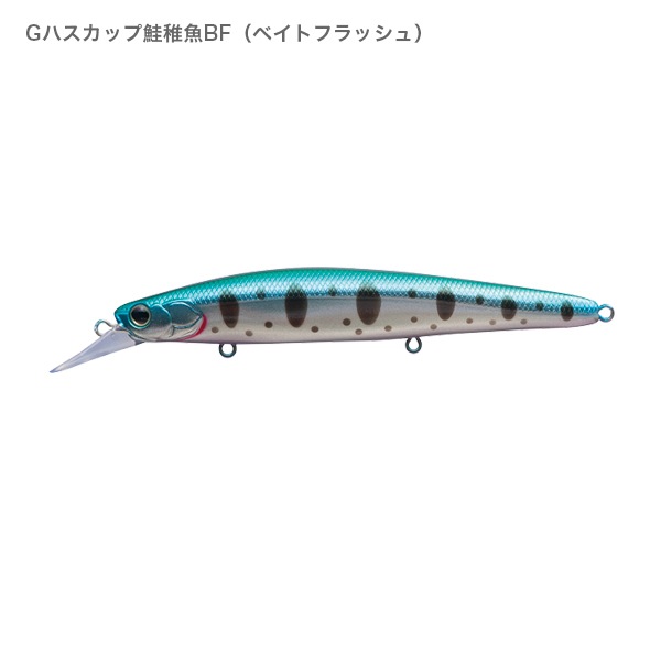 バックウォッシュビヨンド110S ノーザンカラー