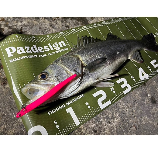 アルバトロス150FG【バチSP】