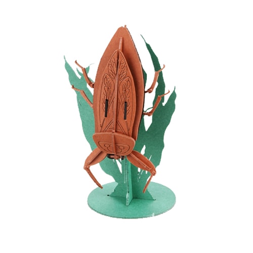 タガメ 3D立体ペーパーパズル