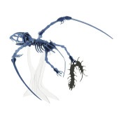 ■ディモルフォドン（台座付）<ダークブルー> 3D立体ペーパーパズル