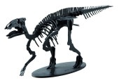 ハドロサウルス 3D立体ペーパーパズル