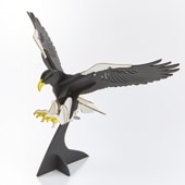 オオワシ（BIG）