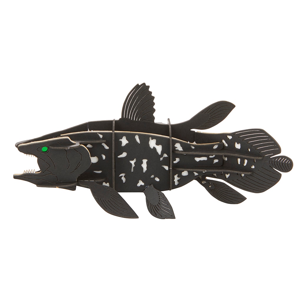 シーラカンス マグネット付き 3D立体ペーパーパズル