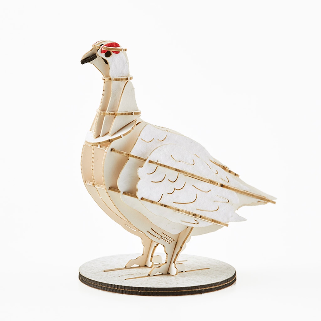 野鳥シリーズ　ライチョウ-冬　Grouse-Winter