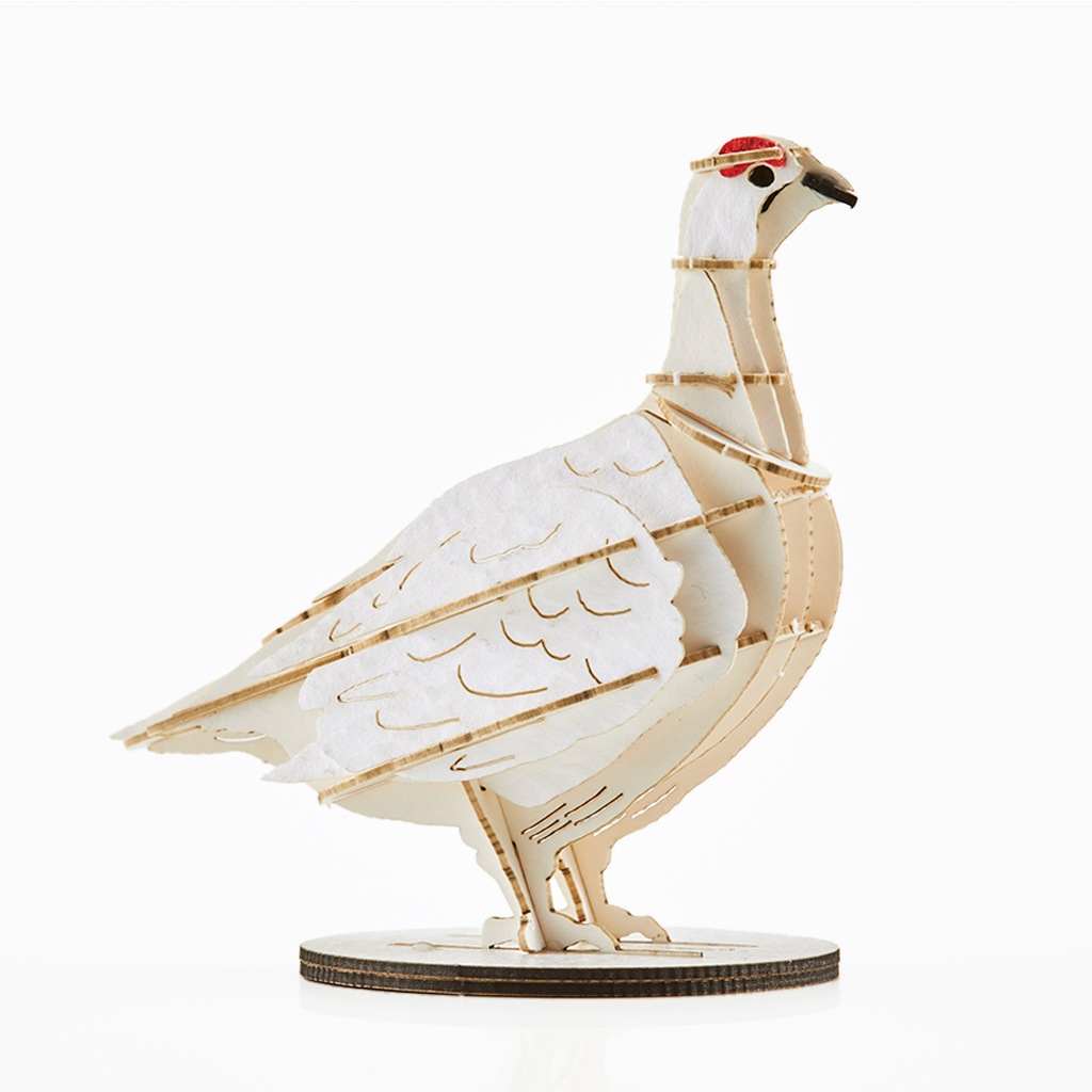 野鳥シリーズ　ライチョウ-冬　Grouse-Winter