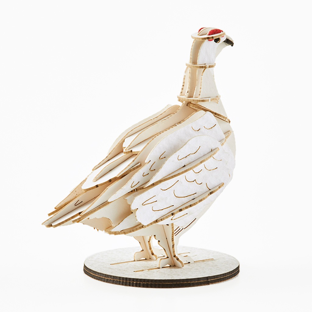 野鳥シリーズ　ライチョウ-冬　Grouse-Winter