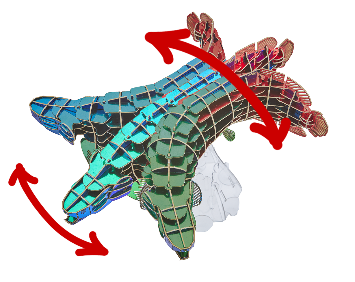 DXピラルク(メタル)(MOVE) 3D立体ペーパーパズル | その他/Sea