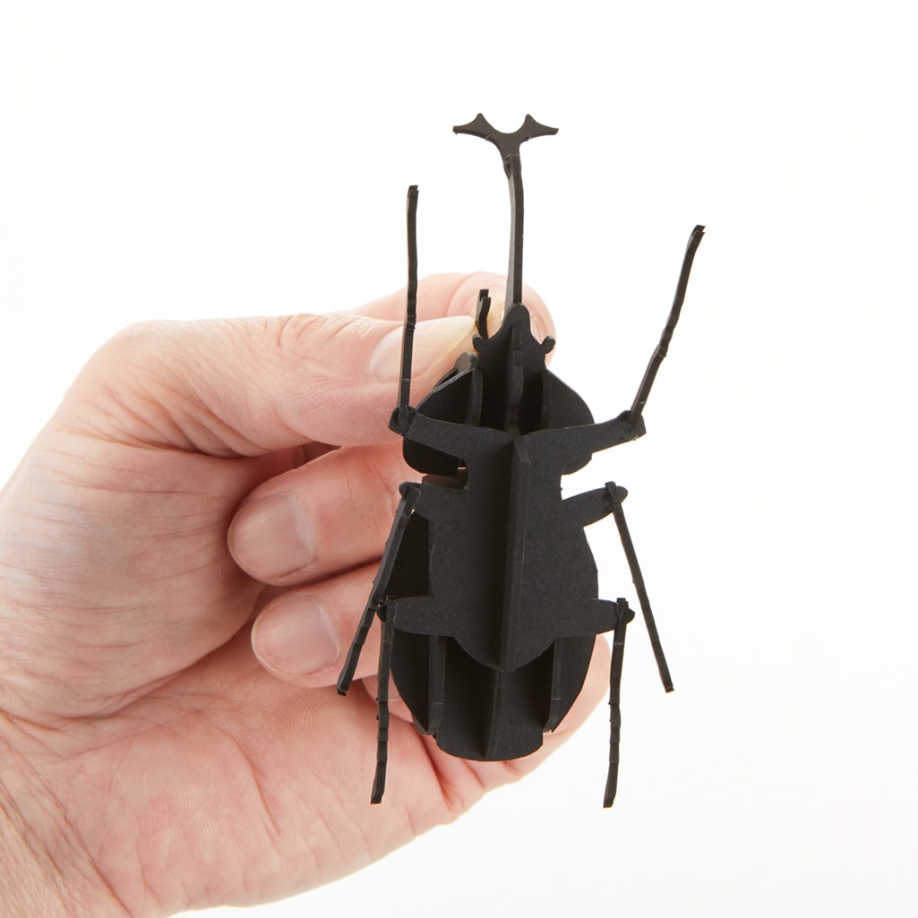 カブトムシ【ブラック】3D立体ペーパーパズル | カブトムシ