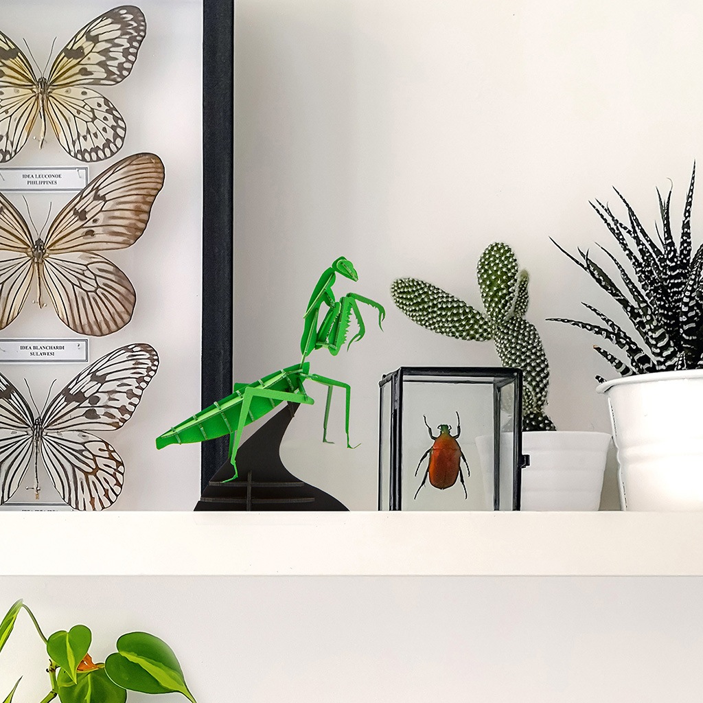 カマキリ【グリーン】3D立体ペーパーパズル | カマキリ/Mantis | PazuMe