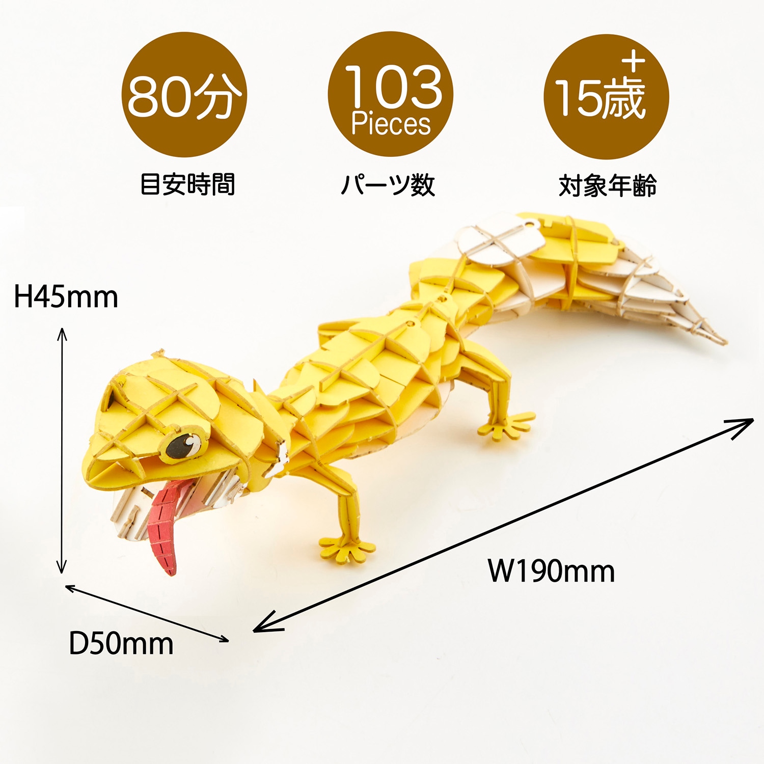 ヘビ　レオパ　品種図鑑セット ヘビ レオパ 品種図鑑セット