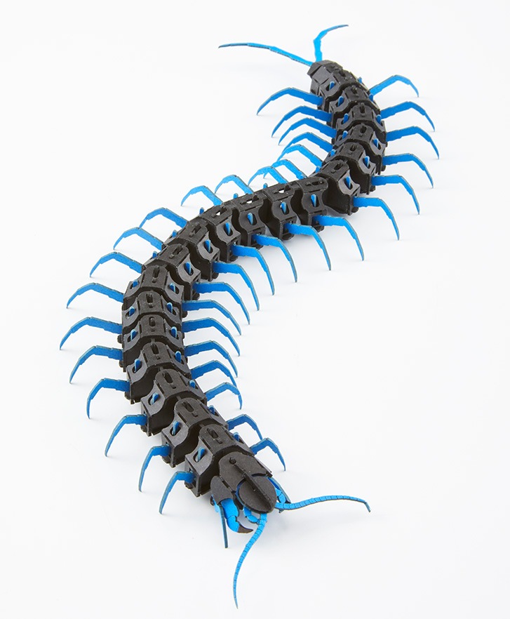 リュウジンオオムカデ(青) 3D立体ペーパーパズル