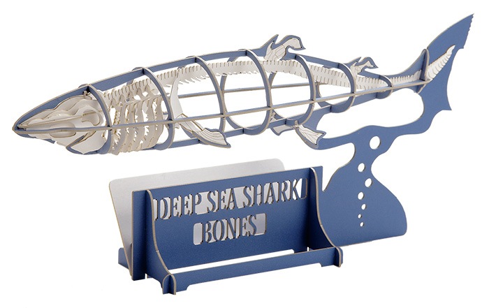 深海ザメ＜骨格＞(ブルー) 3D立体ペーパーパズル