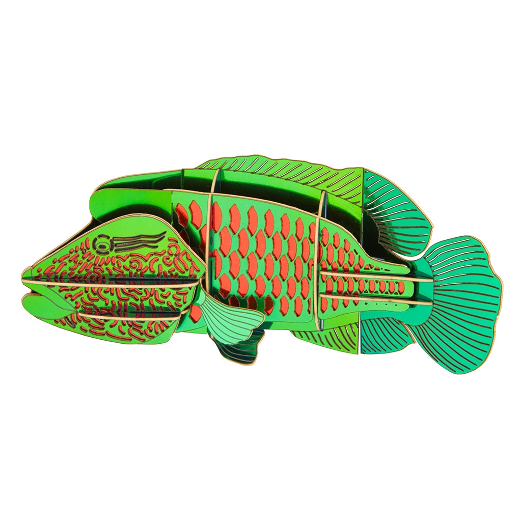 ナポレオンフィッシュ マグネット付き 3D立体ペーパーパズル