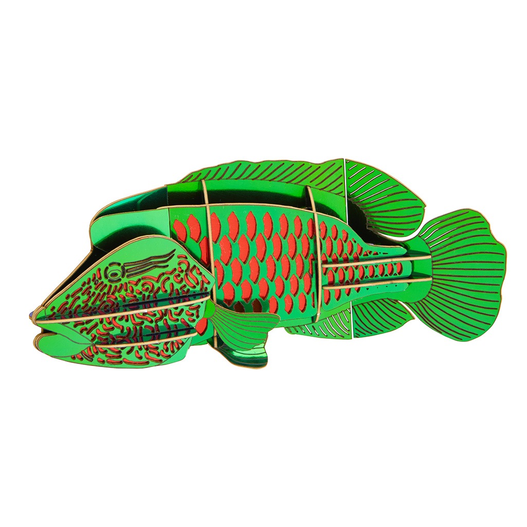 ナポレオンフィッシュ マグネット付き 3D立体ペーパーパズル