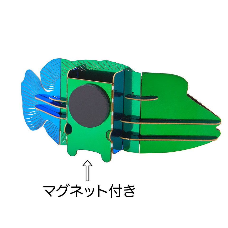 ナポレオンフィッシュ マグネット付き 3D立体ペーパーパズル