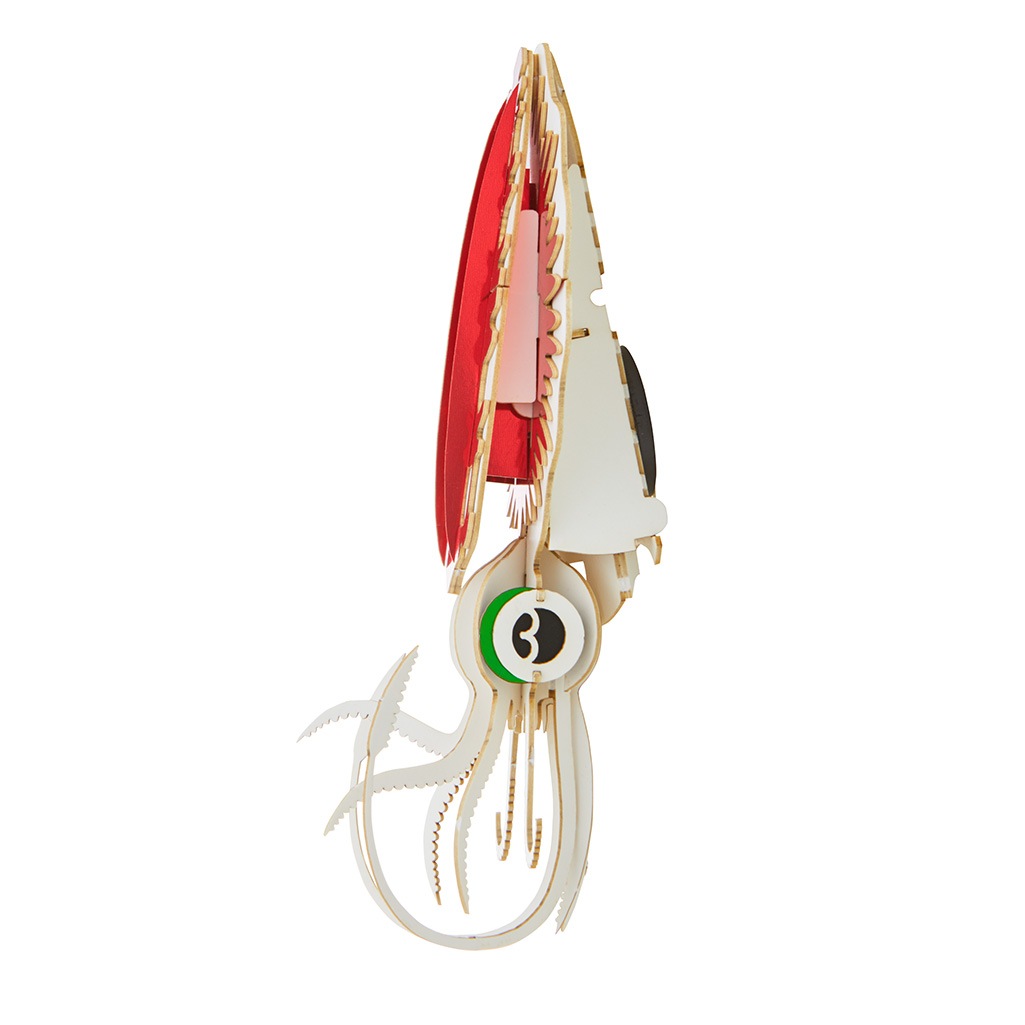 アオリイカ マグネット付き 3D立体ペーパーパズル