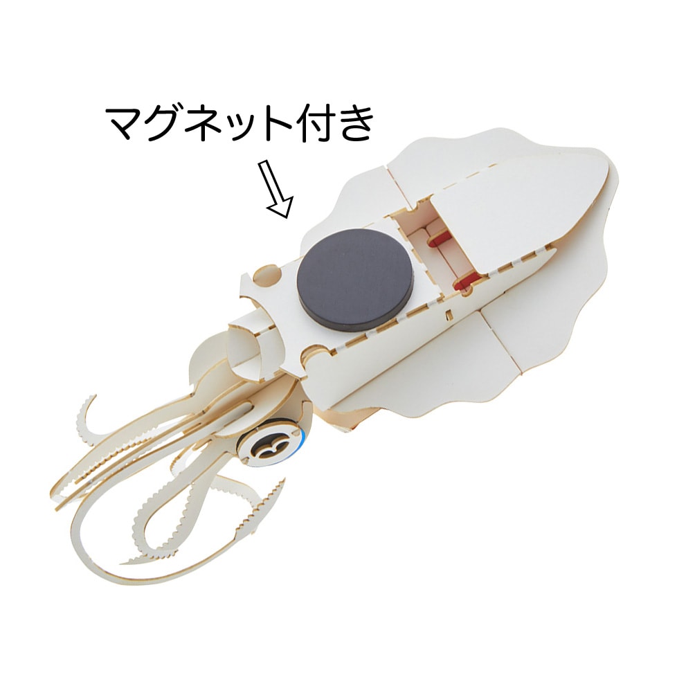アオリイカ マグネット付き 3D立体ペーパーパズル | マグネット