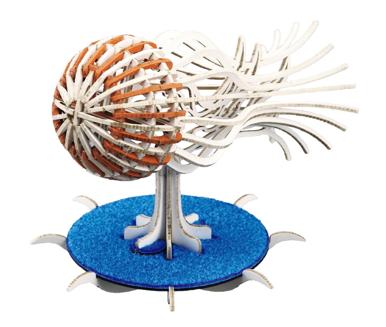 ふらふらニチリンヤナギクラゲ 3D立体ペーパーパズル