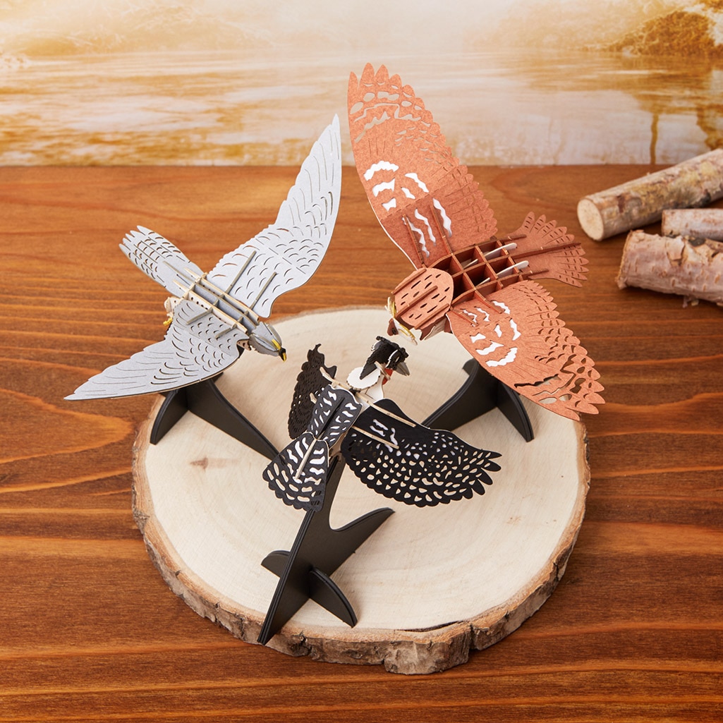 孤高に生きる-個性派バード3点セット 3D立体ペーパーパズル