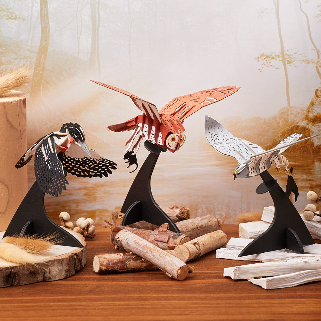 孤高に生きる-個性派バード3点セット 3D立体ペーパーパズル | ギフト
