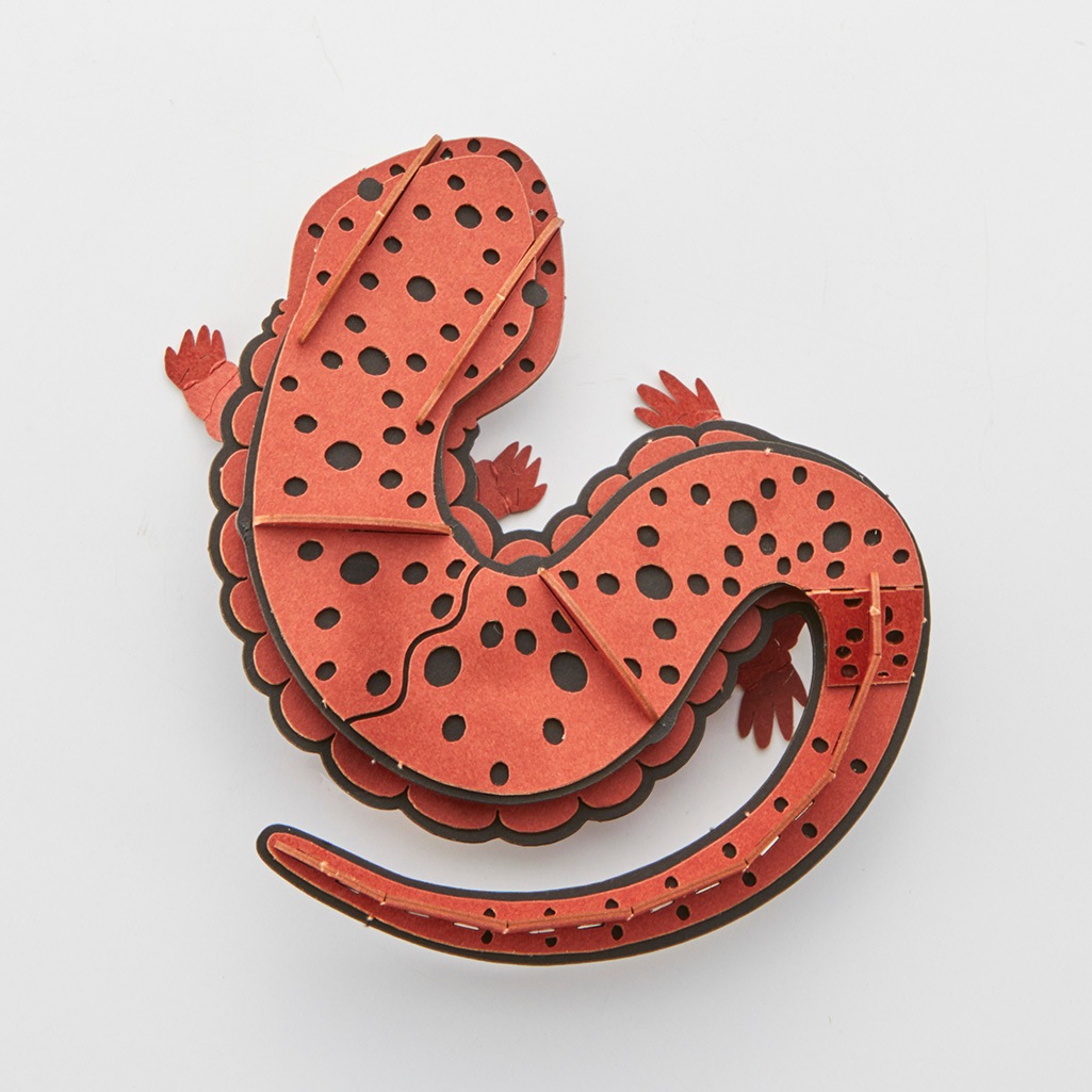 オオサンショウウオ マグネット付き 3D立体ペーパーパズル