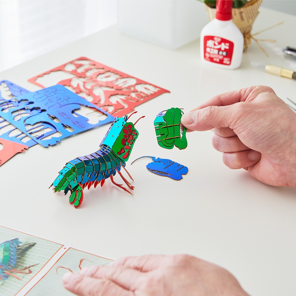 モンハナシャコ 3D立体ペーパーパズル