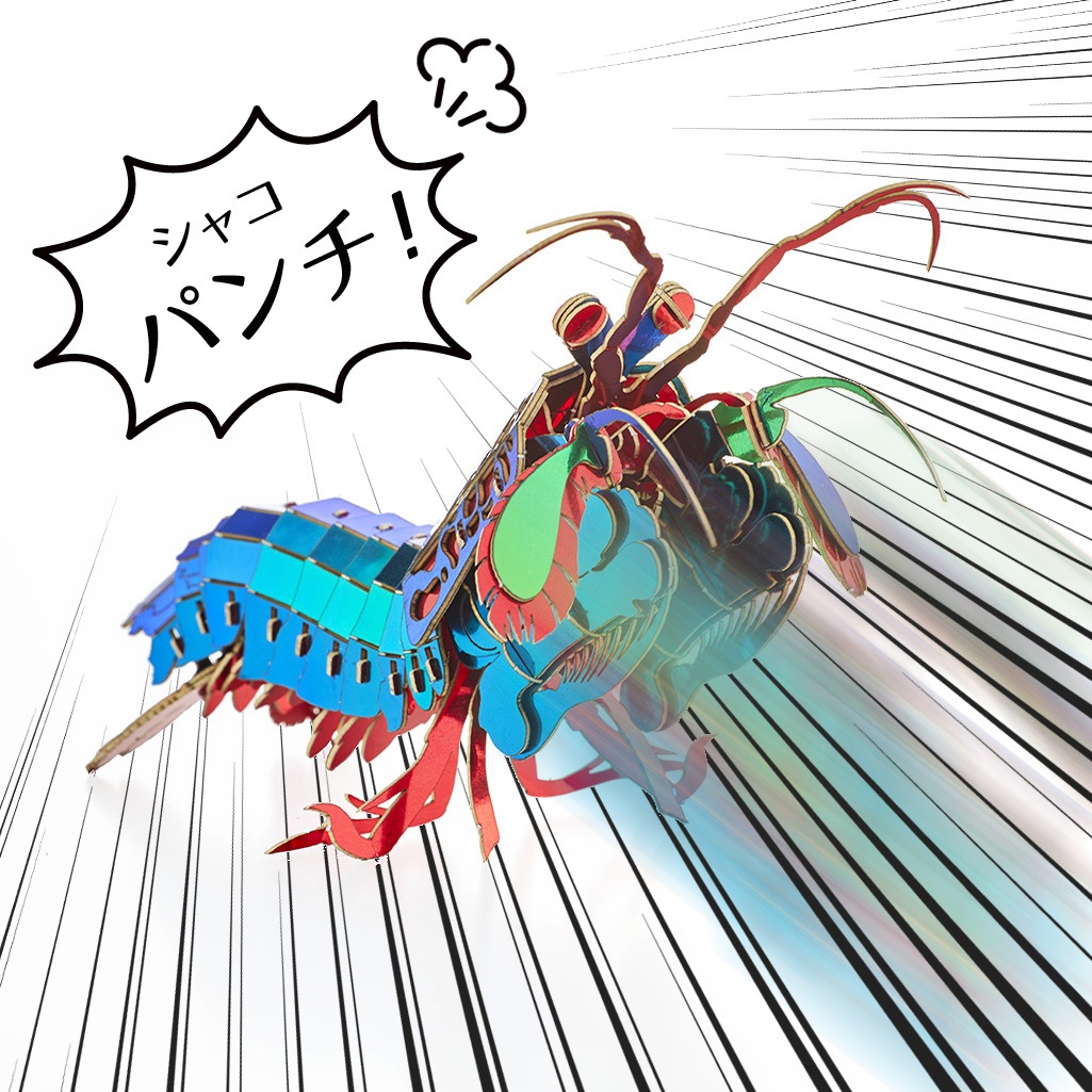 モンハナシャコ 3D立体ペーパーパズル