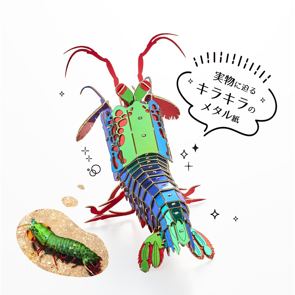 モンハナシャコ 3D立体ペーパーパズル