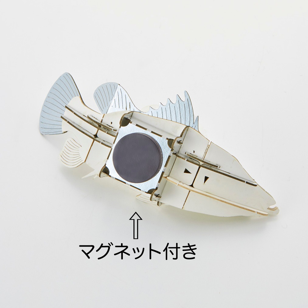 アカメ（赤目） マグネット付き 3D立体ペーパーパズル