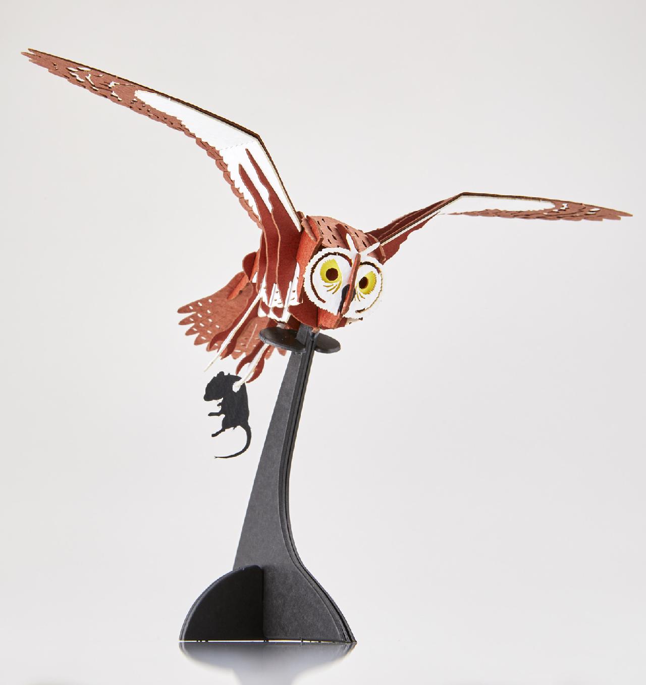 コミミズク Asio flammeus