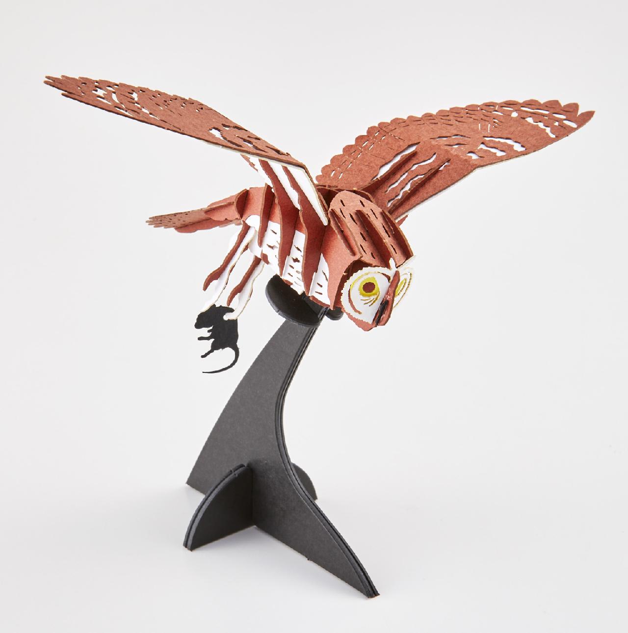 コミミズク Asio flammeus