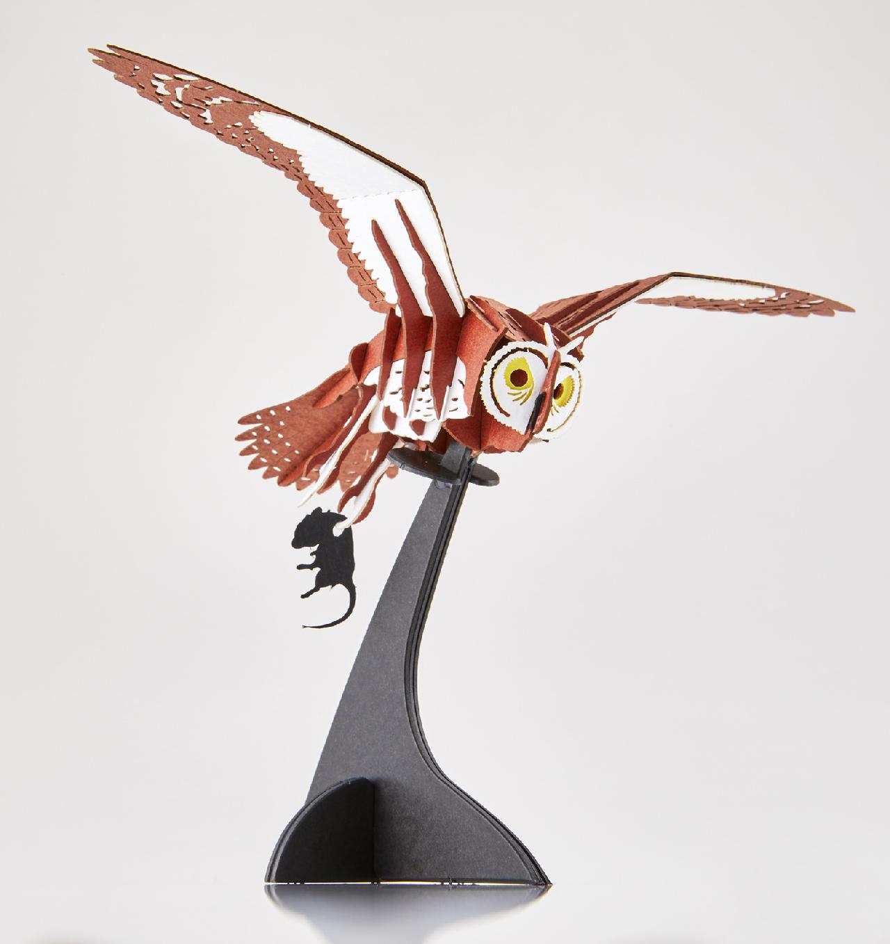 コミミズク Asio flammeus