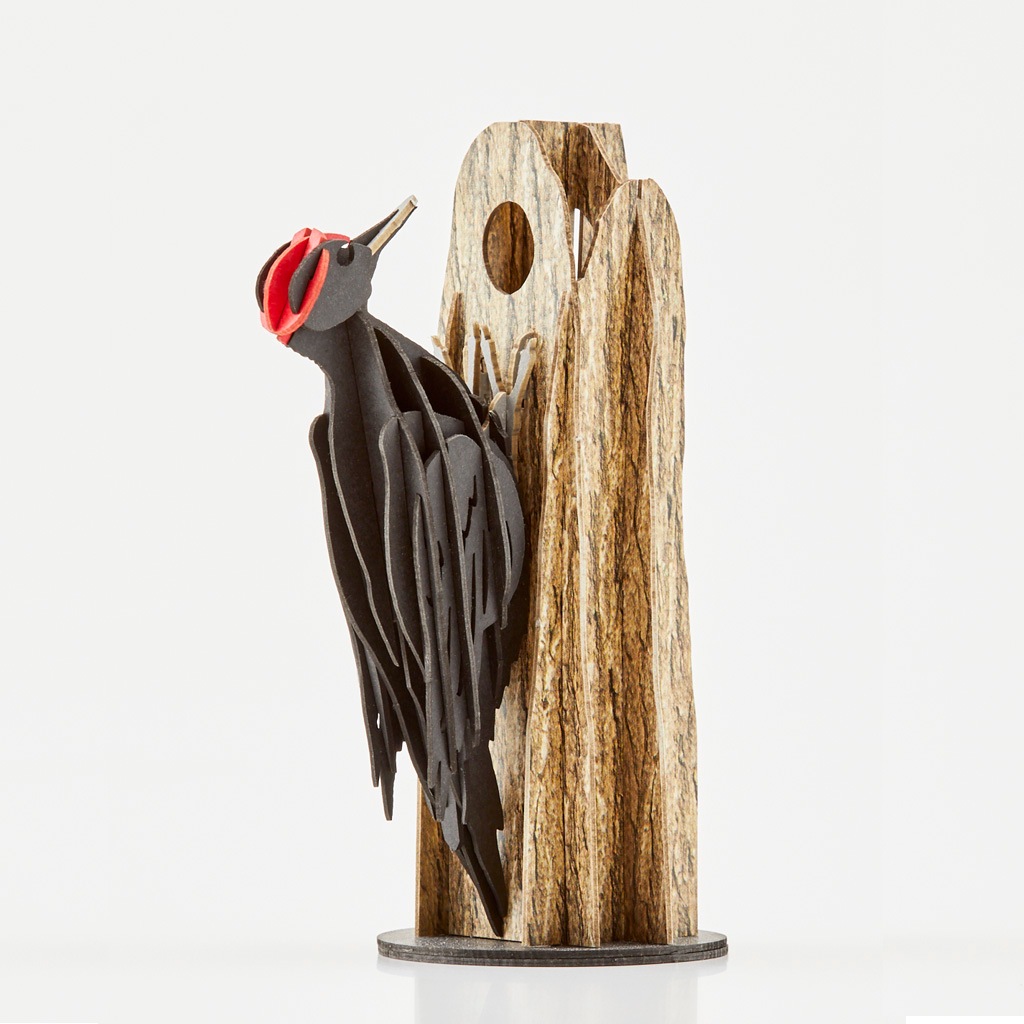 クマゲラ black woodpecker