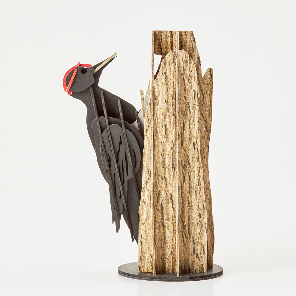 クマゲラ black woodpecker