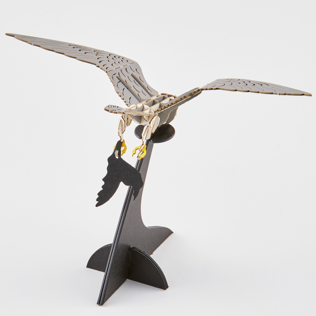 ハヤブサ  falcon