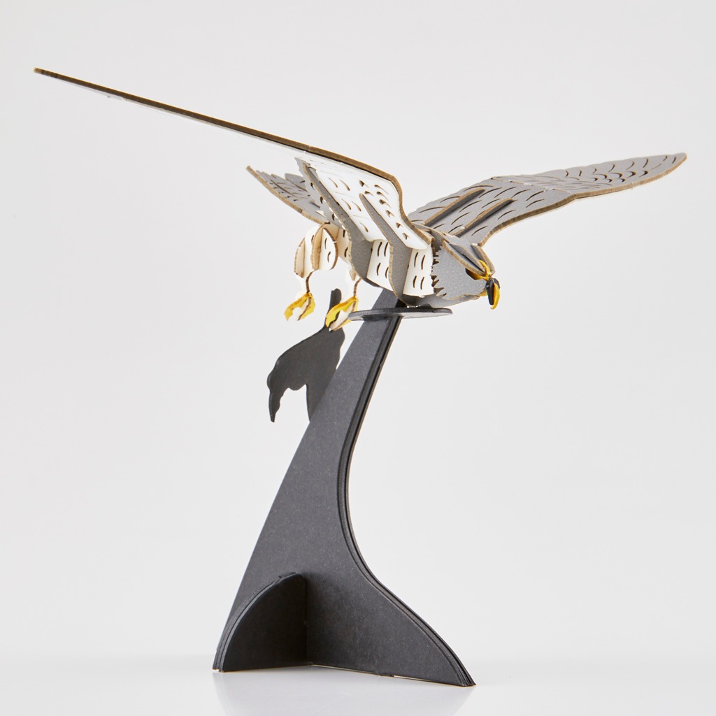 ハヤブサ falcon | 野鳥シリーズ/Bird Series | PazuMe