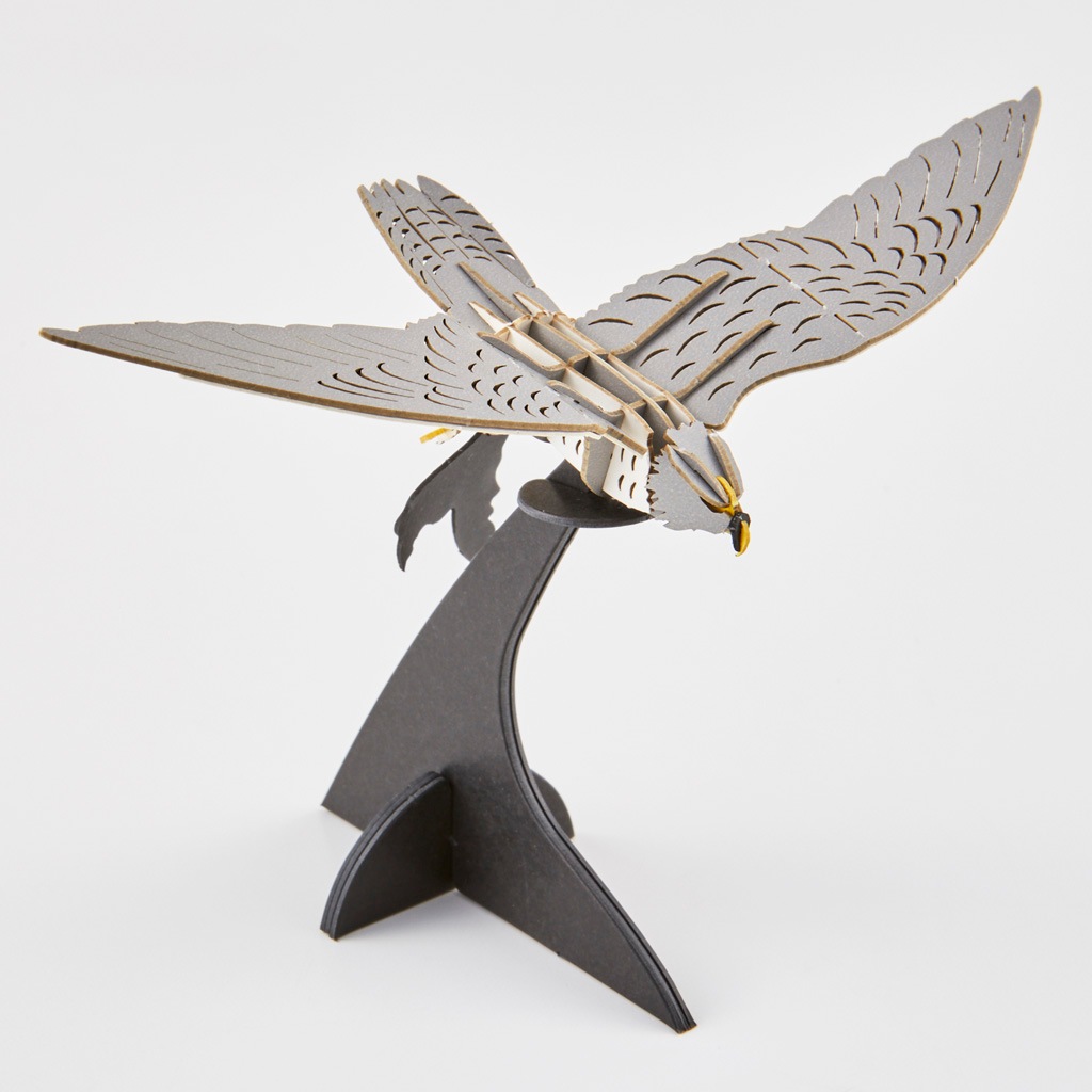 ハヤブサ falcon | 野鳥シリーズ/Bird Series | PazuMe
