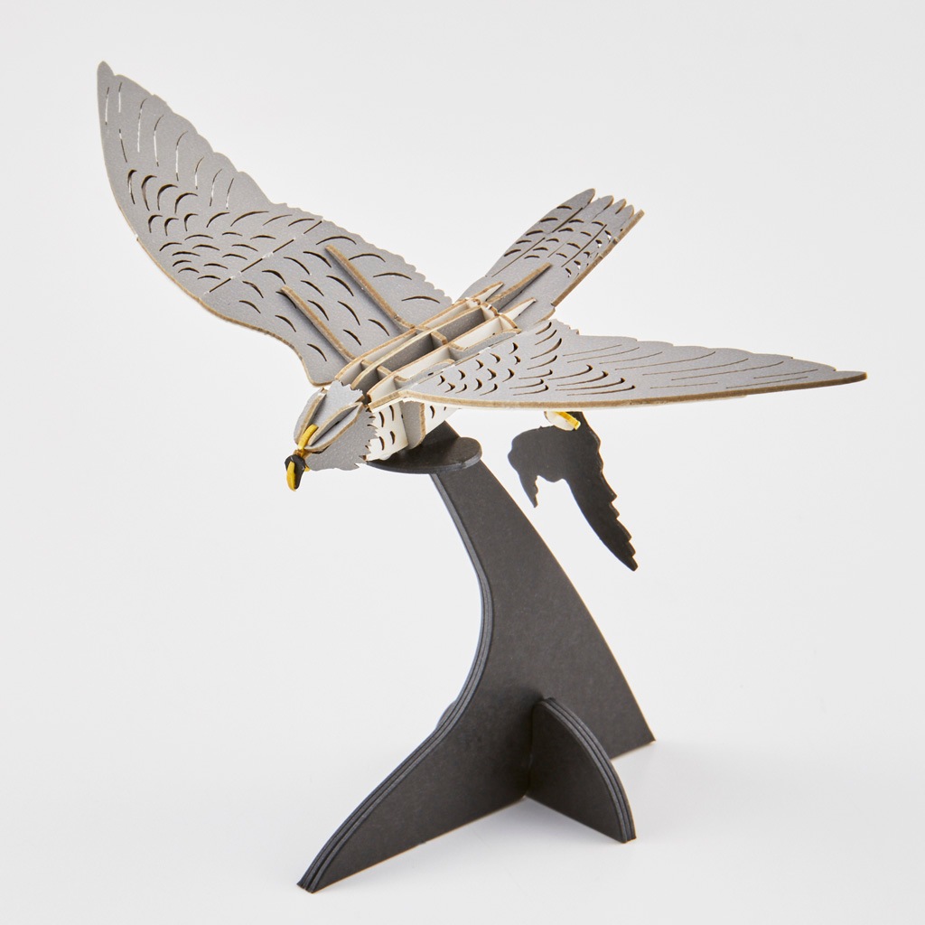 ハヤブサ  falcon