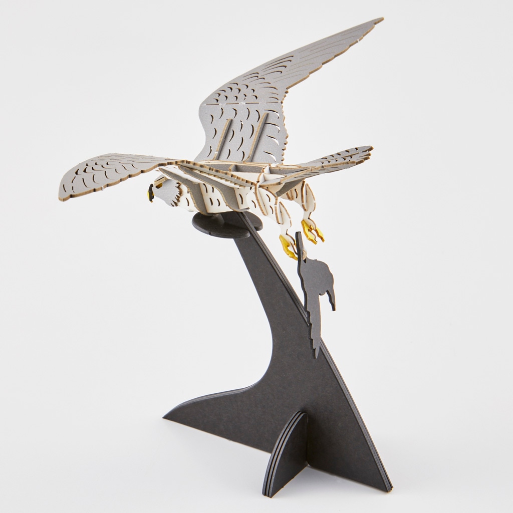 ハヤブサ falcon | 野鳥シリーズ/Bird Series | PazuMe