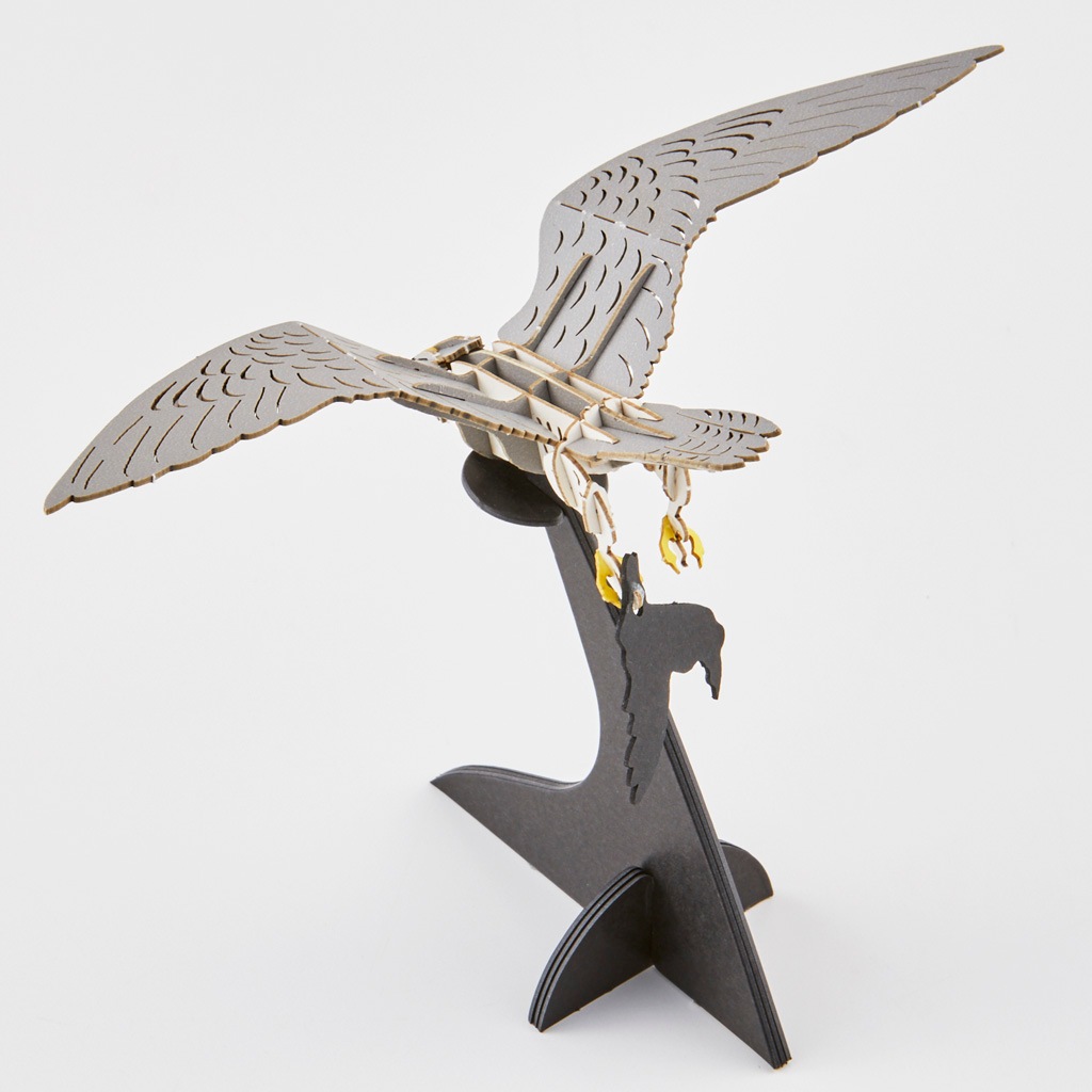 ハヤブサ  falcon