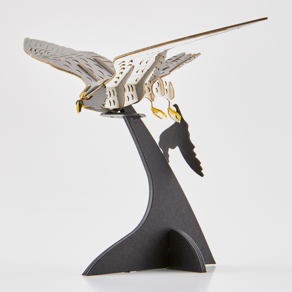 ハヤブサ falcon | 野鳥シリーズ/Bird Series | PazuMe