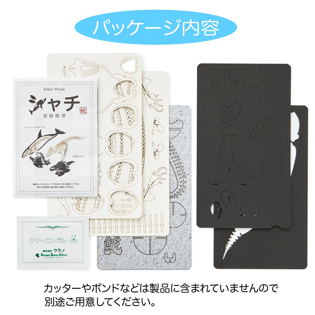 シャチ<骨格> 3D立体ペーパーパズル