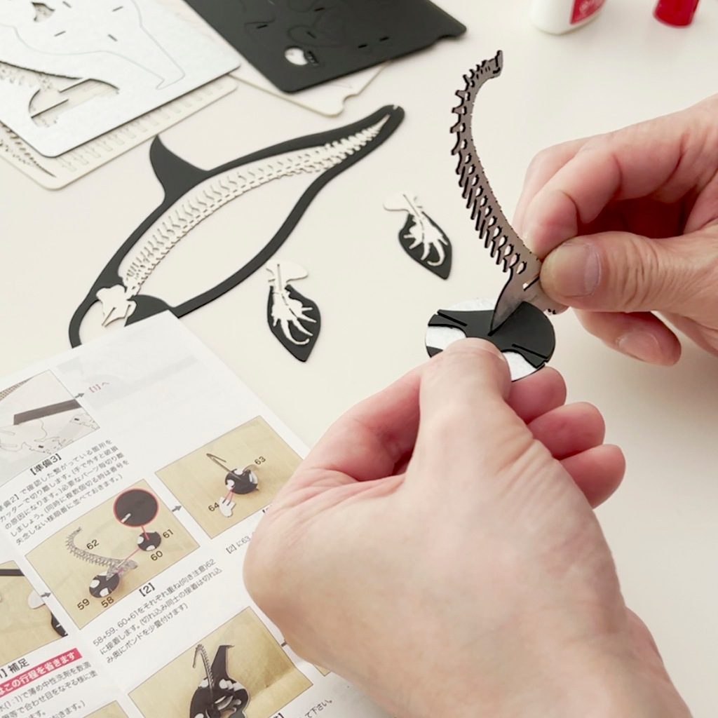 シャチ<骨格> 3D立体ペーパーパズル