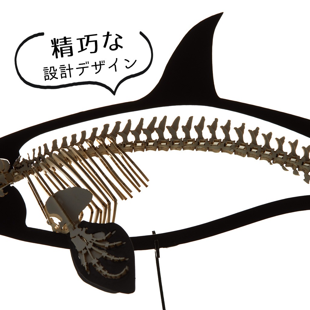 シャチ<骨格> 3D立体ペーパーパズル