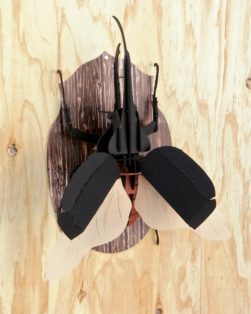 ヘラクレスオオカブト標本 (大型個体) DHヘラクレスオオカブト♂152mm 飛翔標本 | オオクワ京都昆虫館